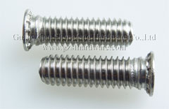 不锈钢压铆螺钉FHS